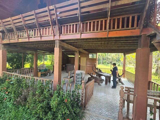 ขายที่ดิน เนื้อที่ 1.5 ไร่ ตำบลห้วยแก้ว เชียงใหม่ พร้อมบ้านไม้ทรงไทย ใกล้แม่กำปอง อากาศเย็นสบาย 5