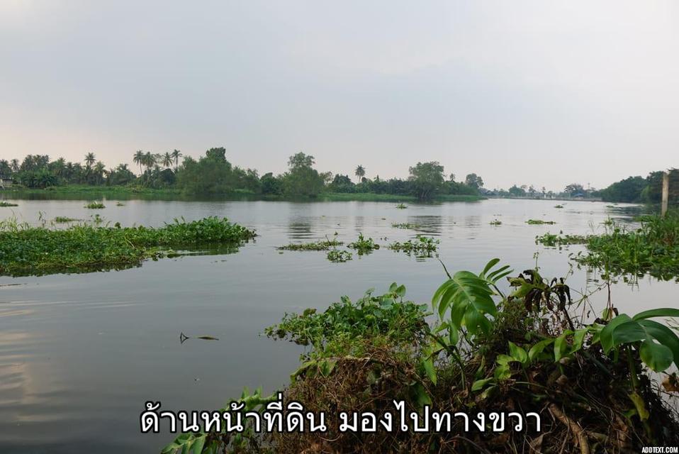ขายที่ดินติดแม่น้ำท่าจีน อ.สามพราน จ.นครปฐม 4