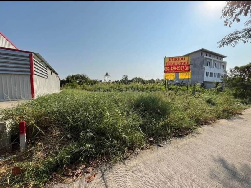 ที่ดิน 1