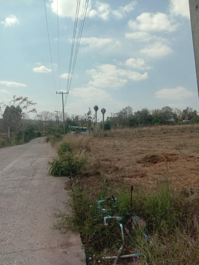 ที่ดินเปล่า มีหลายไร่ แบ่งขาย 1 ไร่ 6 แสน บ้านศิลางาม  วังน้ำเขียว รูปที่ 8