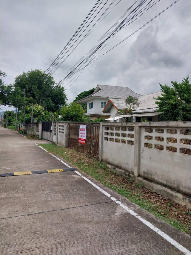 📍ขายที่ดินเมืองเชียงใหม่ (ใกล้เซ็นทรัลเฟสติวัล) 1งาน 23ตร.ว.