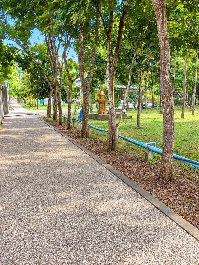 ขายที่ดินพร้อมบ้านสวน ทำเลธรรมชาติ มีบ่อปลาและระบบน้ำพร้อมใช้ 6