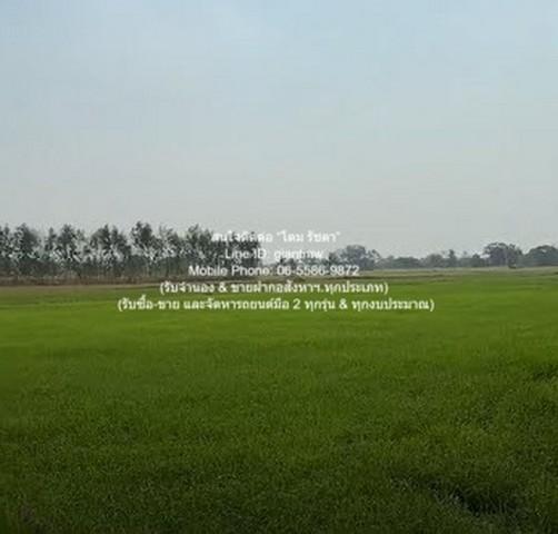 ที่ดิน //ต่ำกว่าราคาประเมิน//ขายที่ดินทุ่งนาข้าว อ.นครหลวง จ.พระนครศรีอยุธยา 17-0-76 ไร่ ราคา 3 ล้านบาท 3000000 BAHT พื้ 3