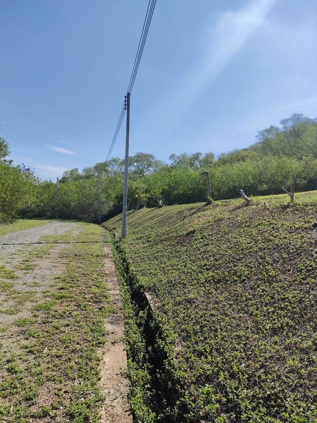 ขายที่ดินพร้อมโฉนด 1-1-32 ตร.ว. อ.ปากช่อง จ.นครราชสีมา ทำเลดี บรรยากาศร่มรื่น ด้านหลังติดภูเขา 6