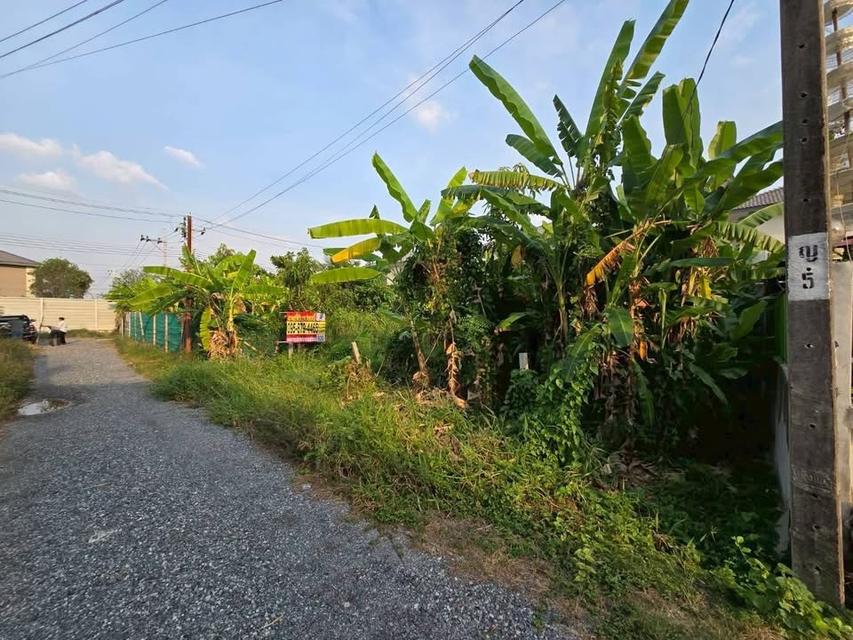 ขายด่วนทีดิน 50 ตารางวา ตรงข้ามบีสมาร์ท พลาซ่า ซอย ทรัพย์รุ่งโรจน์ อ.เมืองนนทบุรี จ.นนทบุรี 5