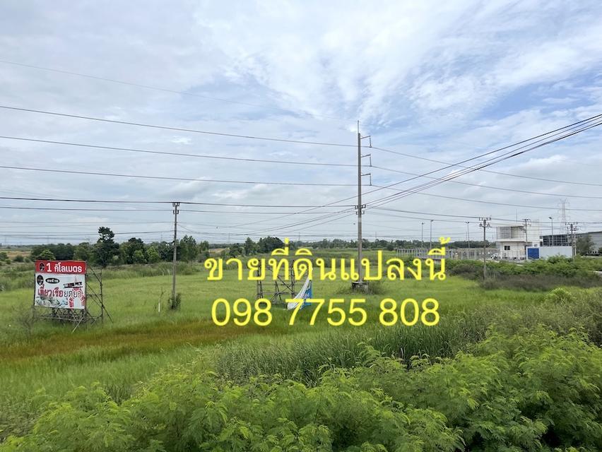 ขายที่ดินติดถนนสายเอเชีย ขาเข้ากรุงเทพ บางปะอิน อยุธยา 4