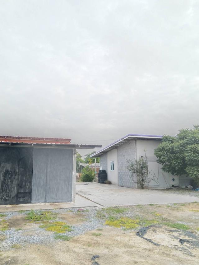 ที่ดินพร้อมสิ่งปลูกสร้าง 10