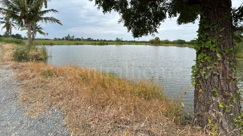 ที่ดิน 9-3-99.5 ไร่ ดอนโพธิ์ - สุพรรณบุรี มีผู้เช่า ทำเลดี 13