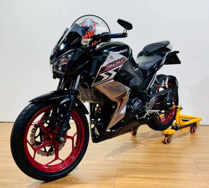 Z300