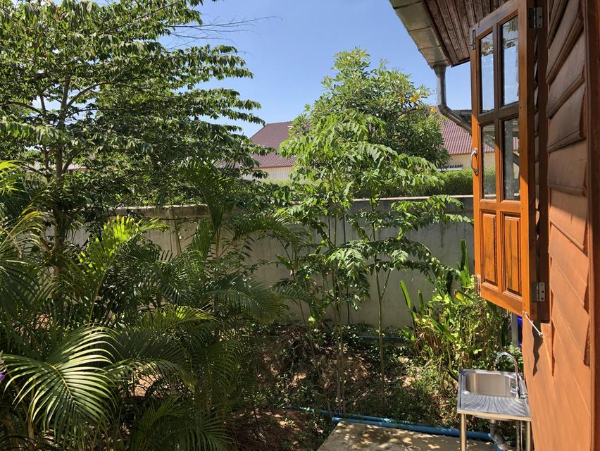 ที่ดินโฉนด 4 ไร่ ต.เมืองเก่า ใกล้อุทยานประวัติศาสตร์สุโขทัย ติดถนนเมืองเก่า-คีรีมาศ   17
