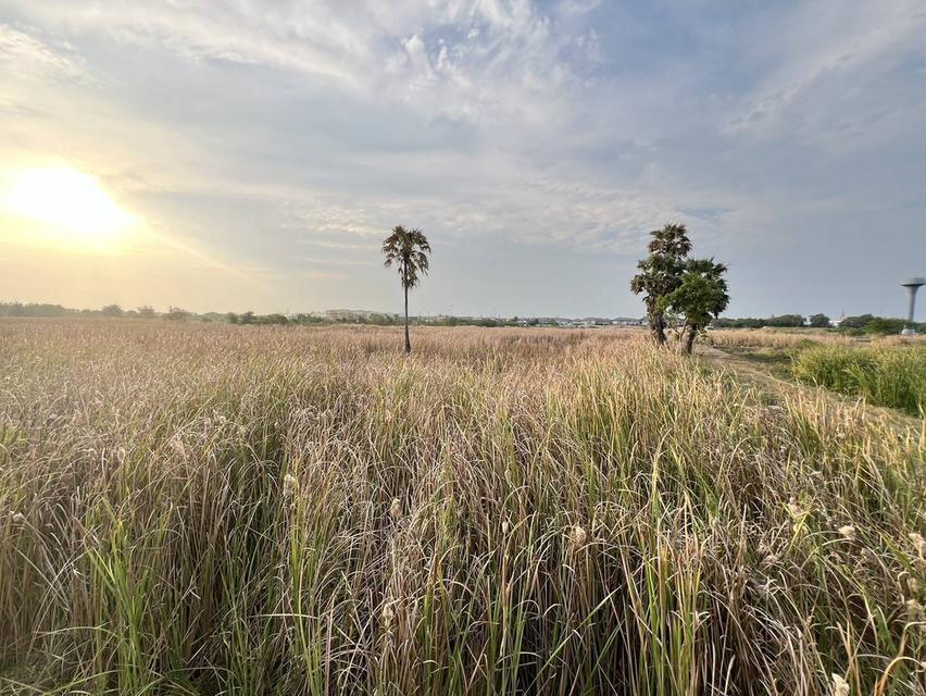 ที่ดินทำเลศักยภาพ บริเวณด้านหลัง เซ็นทรัล นครปฐม อำเภอเมืองนครปฐม ตำบลนครปฐม จังหวัดนครปฐม 73000 9