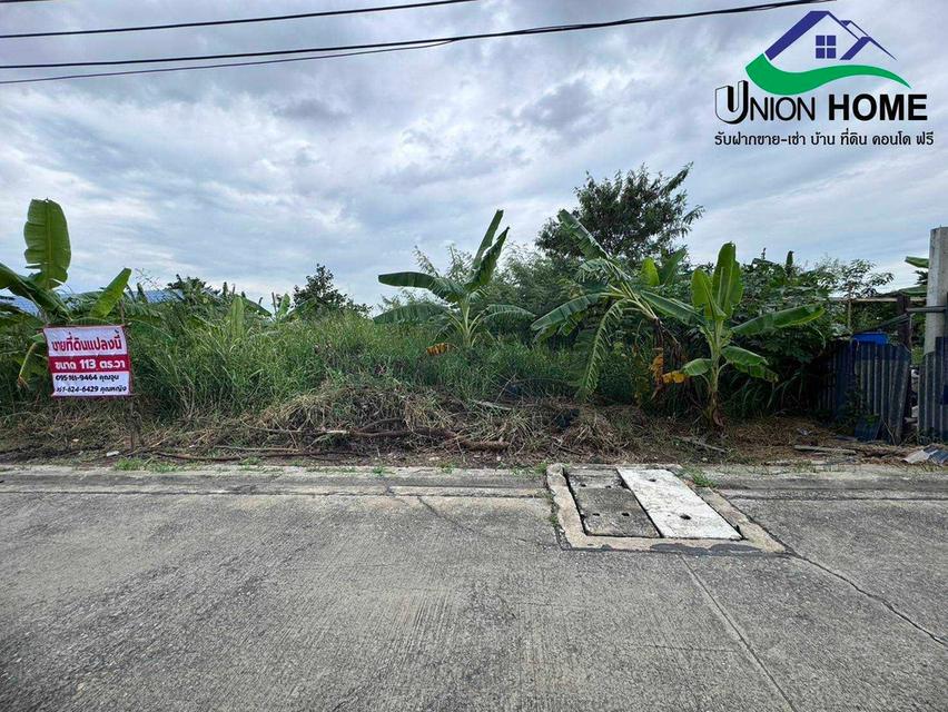 ขายที่ดินเปล่าถมแล้ว ถนนรังสิต-นครนายก 33 คลอง 2 ธัญบุรี (N.1879) 2