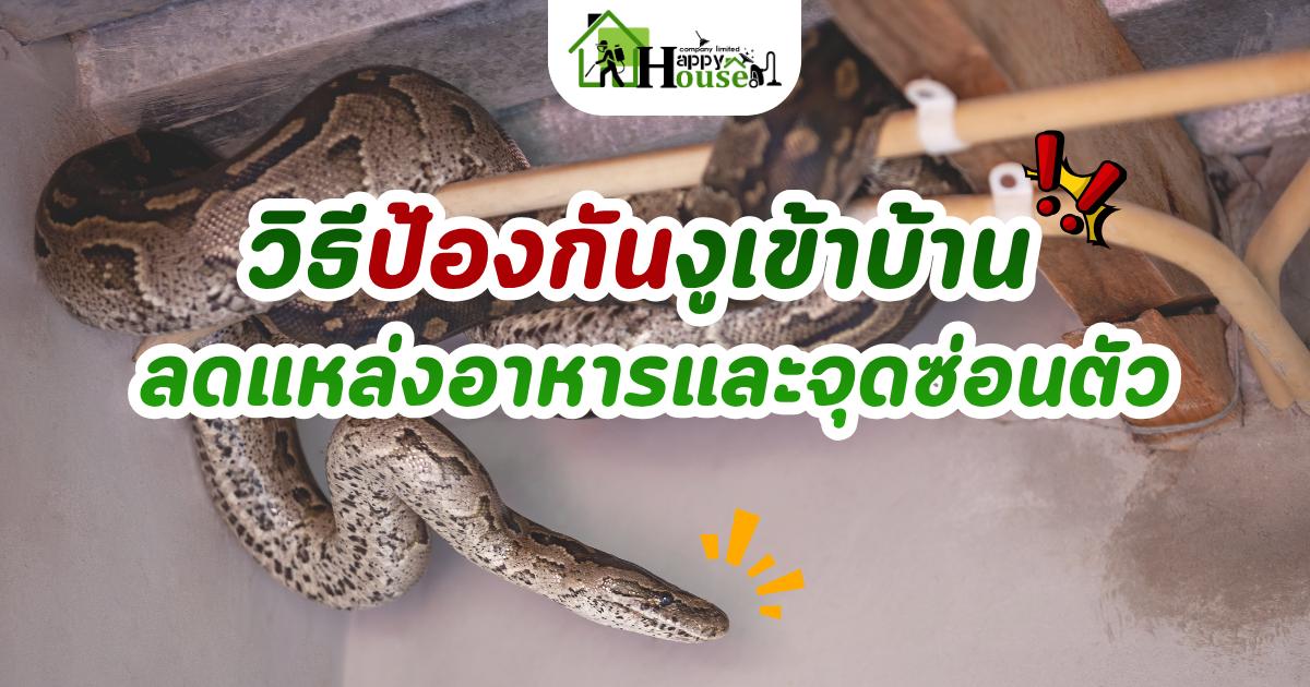บริการกำจจัดปลวกและแมลง สัตว์รบกวน