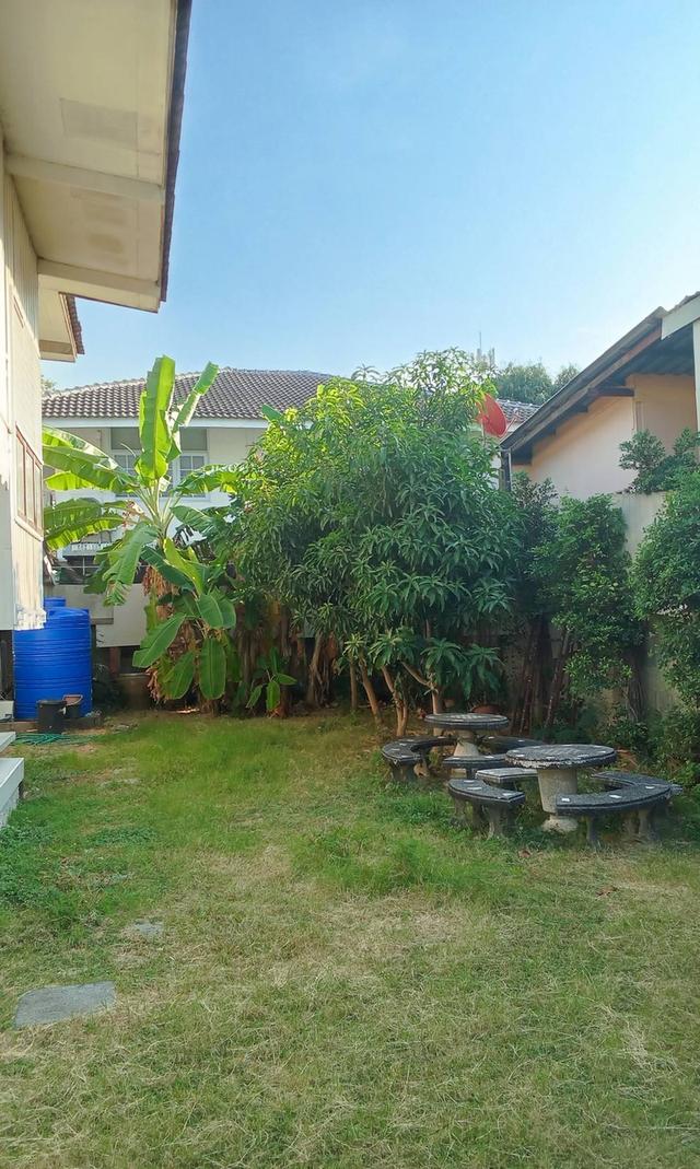 ขายบ้านพักตากอากาศ บ้านไม้มะค่าพร้อมที่ดินฝั่งทะเล 5