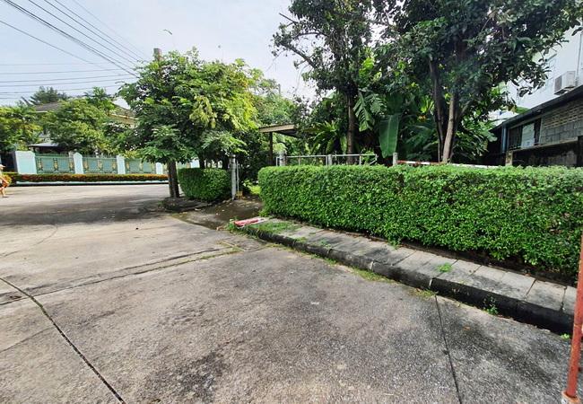 ขายที่ดิน ในหมู่บ้านซันไรซ์กรีน ซอยนวมินทร์ 143 เขตบึงกุ่ม กรุงเทพมหานคร 4