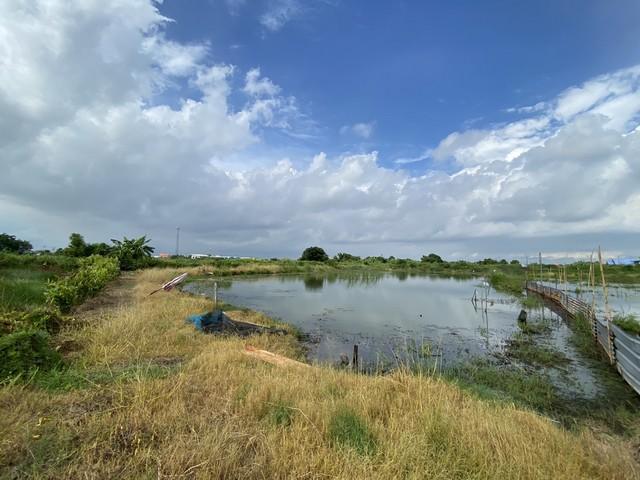 ขายที่ดินเปล่า ทำเลดี เจ้าของขายเอง ตำบลคลองด่าน อำเภอบางบ่อ สมุทรปราการ 20