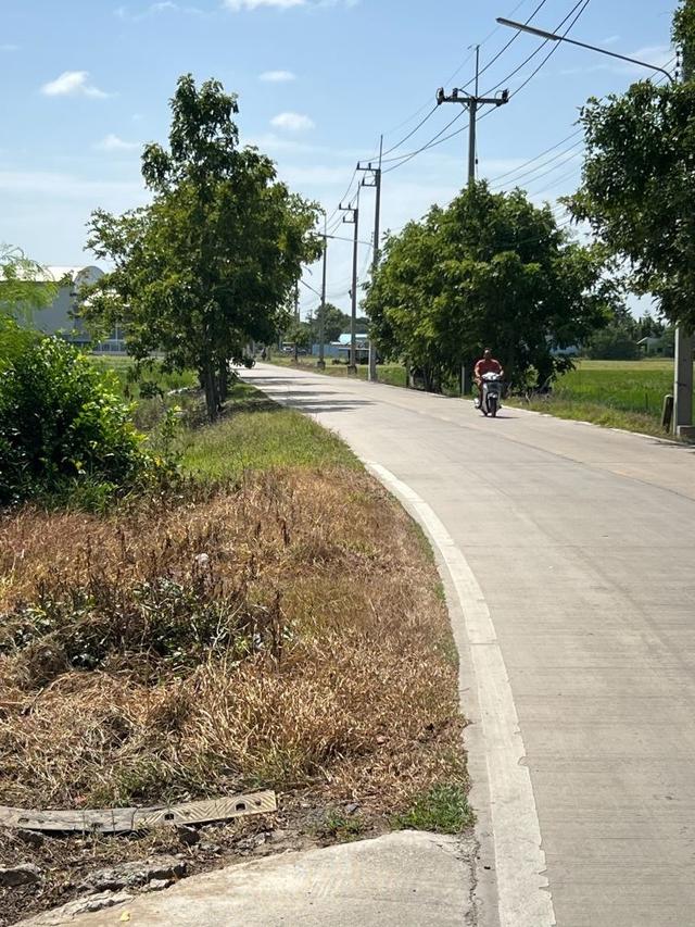 ขายที่ดินถมแล้ว 247 ตรว. ติดถนนคอนกรีต ถ.เลียบคลองบางโพธิ์ใต้ ปากซอยทับทิมแลนด์ 2 หมู่ 7 ปทุมธานี 1