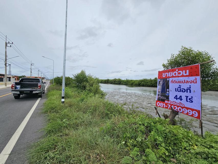 ประกาศขายที่ดิน สมุทรสาคร 44 ไร่ 3 งาน 68 ตารางวา 9