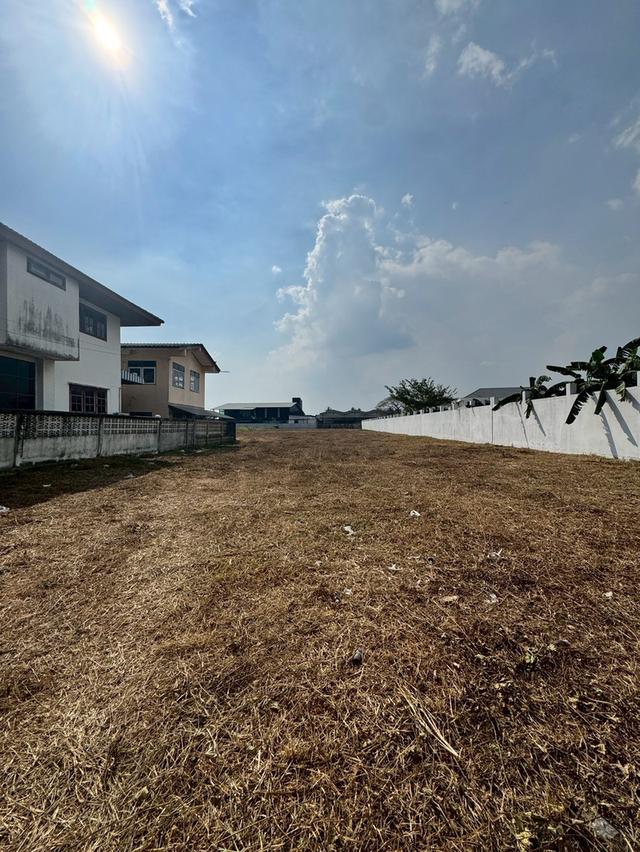 ขายที่ดินเปล่า แปลงสวย ทำเลดี ย่านบางบอน 4 10