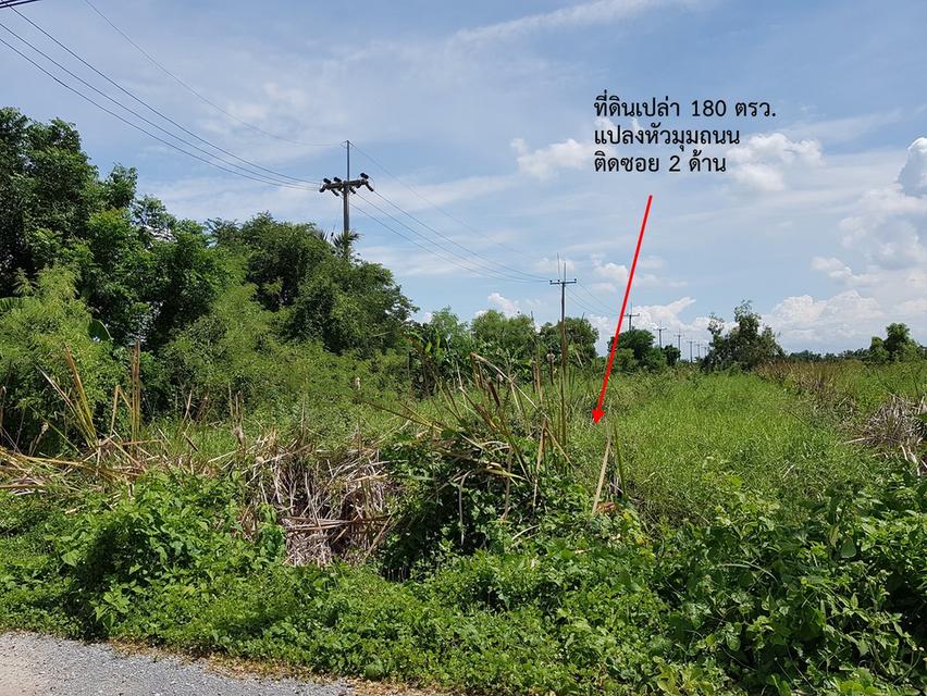 ที่ดินเปล่า 180 ตรว. แปลงหัวมุมถนน อ.บางเลน จ.นครปฐม 10