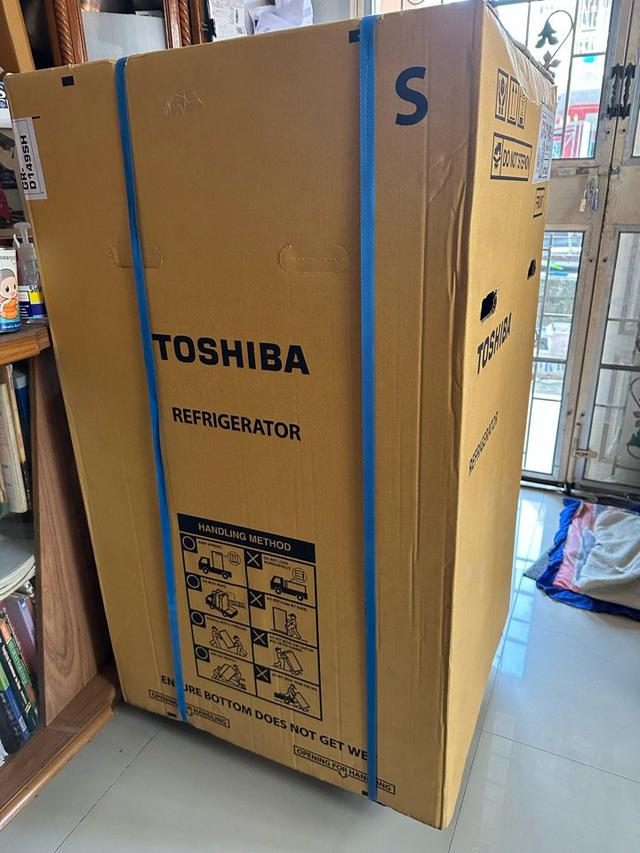 ตู้เย็นประตูเดียว TOSHIBA 5.2 คิว (สีเงิน แฮร์ไลน์) 5