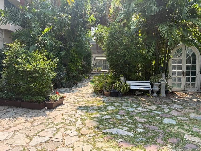 U1477 ให้เช่าบ้านสวน ใจกลางสุขุมวิท 101 FOR RENT RARE GARDEN SPACE IN SUKHUMVIT An Extraordinary Glasshouse Garden Space in Sukhumvit 101 6