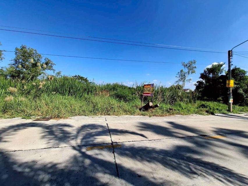 Vายด่วนที่ดินคลองสอง 2 ไร่ ซอย ไอยรา 34 อ.คลองหลวง จ.ปทุมธานี 3