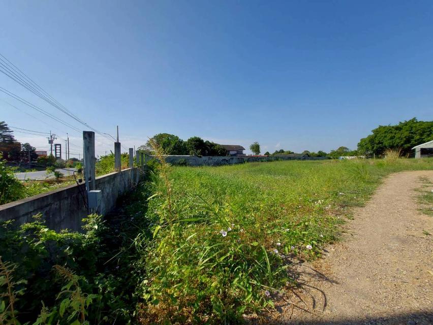 ขายที่ดินเปล่า ถนนเลียบคลองมอญ ลาดกระบัง กรุงเทพมหานคร 5