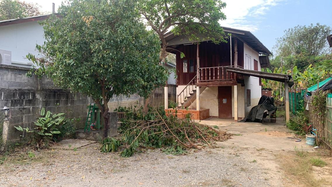 ขายบ้านสองชั้นพร้อมที่ดินหลักแสนหางดงเชียงใหม่ ติดถนน อยู่ใกล้กับตลาดน้ำโท้ง 8