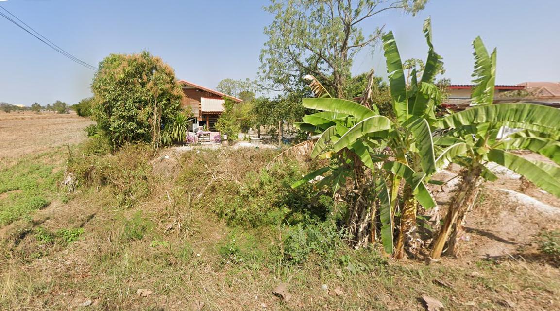 ขาย ที่ดิน ใกล้ตัวเมือง อุดรธานี  2