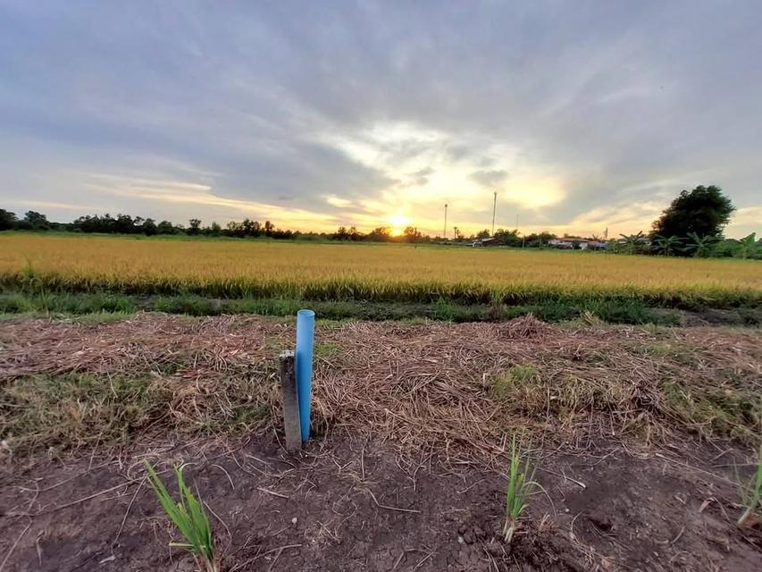 ขายด่วนทีดินติดถนนเลียบคลองห้า 368 ตารางวา ติดถนนคอนกรีตสาธารณะ อ.คลองหลวง จ.ปทุมธานี 4