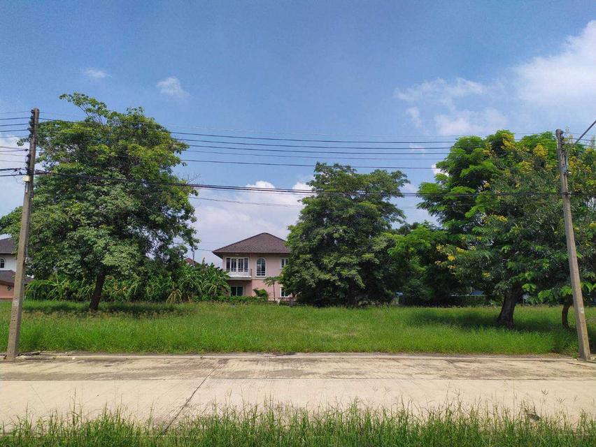 ขายที่ดินเปล่าหมู่บ้านเดอะลากูน3 ถนนปทุมธานี-สามโคก-เสนา ท้ายเกาะ สามโคก ปทุมธานี พื้นที่99ตรว. ใกล้ตลาดโรงเกลือท้ายเกาะ 1