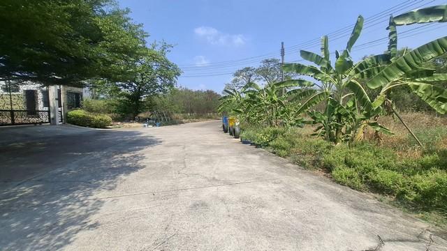 ขายที่ดินถมแล้ว 313 ตรว.ใกล้ทางเข้า-ออกถนนบางนา-ตราด 26โครงการรอยัล เพลส ด้านหลังติดวิวน้ำ ต้นไม้ล้อมรอบ บรรยากาศดี สมุท 8