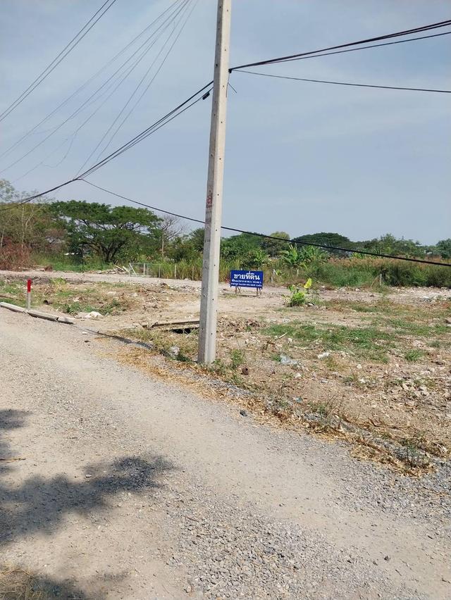 ขายที่ดิน 50/100 ตรว.ใกล้แหล่งชุมชนโรงเรียนใกล้ทางด่วนอุดรรัถยา ม.ธรรมศาสตร์ ศูนย์รังสิต  ม.ปทุมฯตลาดทรัพย์ปทุมทางเข้าซุ้มวัดบัวหลวง โทร081-2056883 3 8