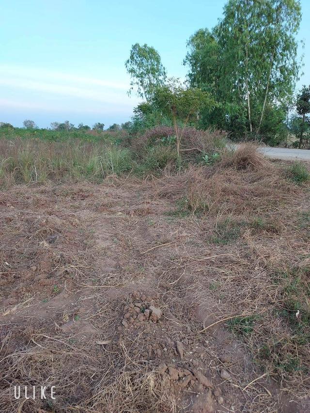 ที่ดิน 7