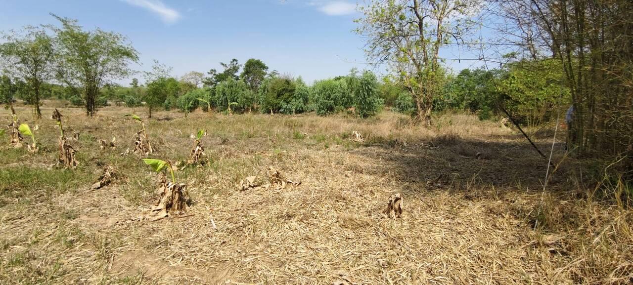 ที่ดิน 40-1-9 ไร่ อำเภอสมเด็จ จังหวัดกาฬสินธุ์ ราคาถูก 10