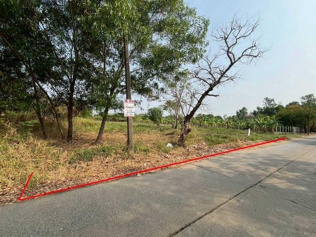 ที่ดินเปล่า ถมแล้วในโครงการ เวิลด์คลับแลนด์ ซอย 1 ถนนคลองหลวง ตำบลคลองสาม อำเภอคลองหลวง จังหวัดปทุมธานี 5