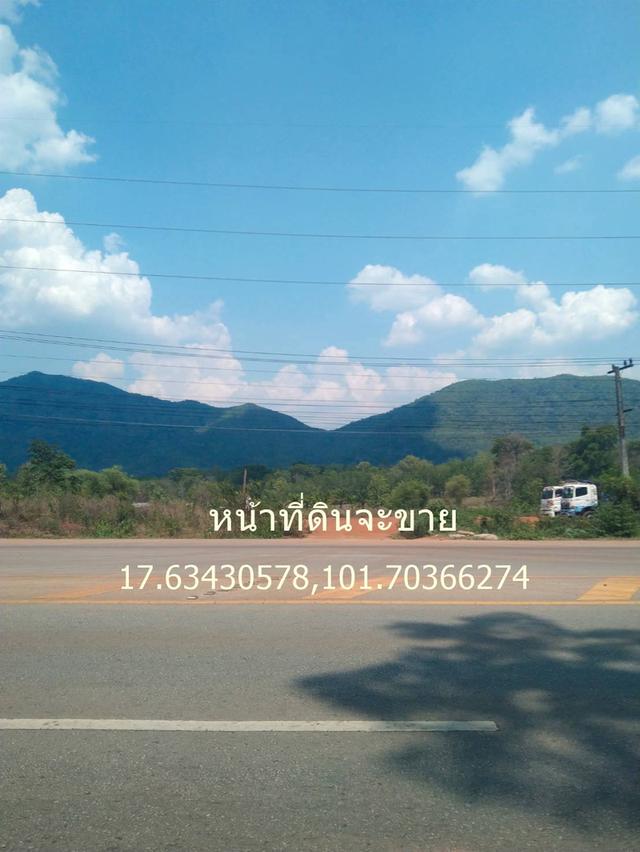ขายที่ดิน 17 ไร่เศษ ติดถนนใหญ่ 4เลน ต.ศรีสองรัก อ.เมืองเลย ขายต่ำกว่าประเมินกรมที่ดิน50กว่าเปอร์เซ็น