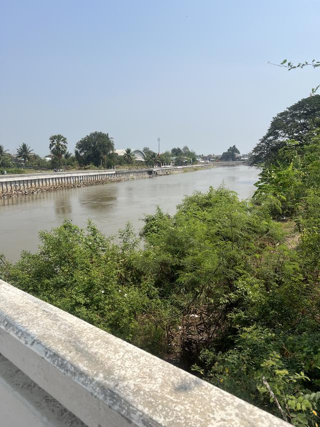 🌿✨ ขายที่ดินติดถนนใหญ่ 321 ใกล้คลอง ✨🌿 ทำเลดี อ.อู่ทอง จ.สุพรรณบุรี 8