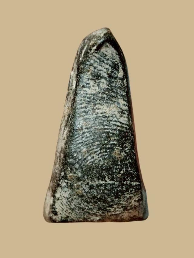 พระผงสุพรรณเปิดเช่าบูชา รูปที่ 3