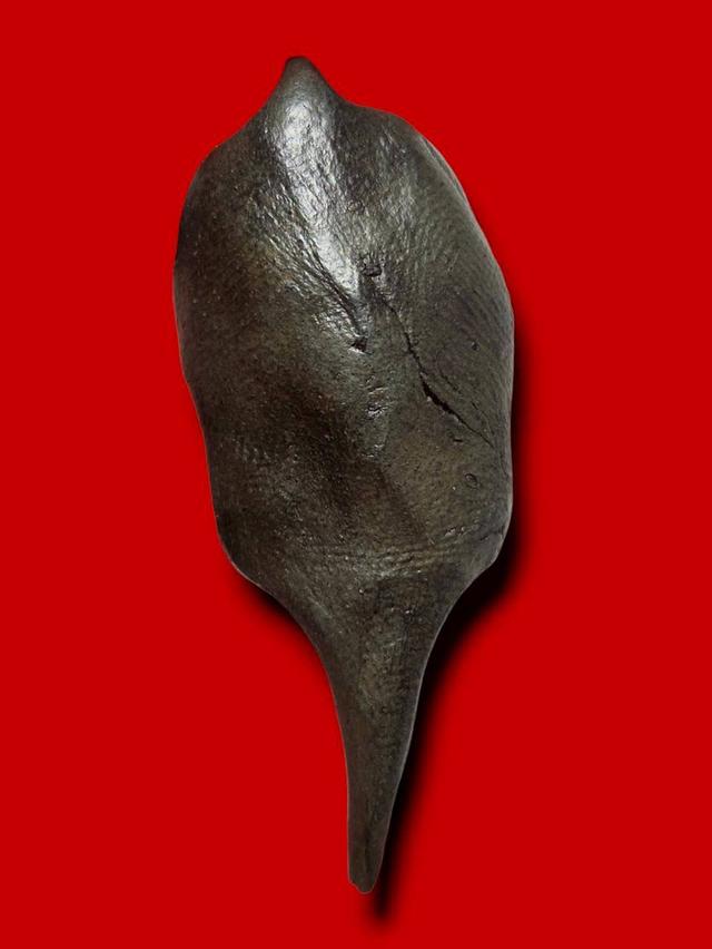 พระรอดเนื้อดิน เปิดเช่าบูชา รูปที่ 3