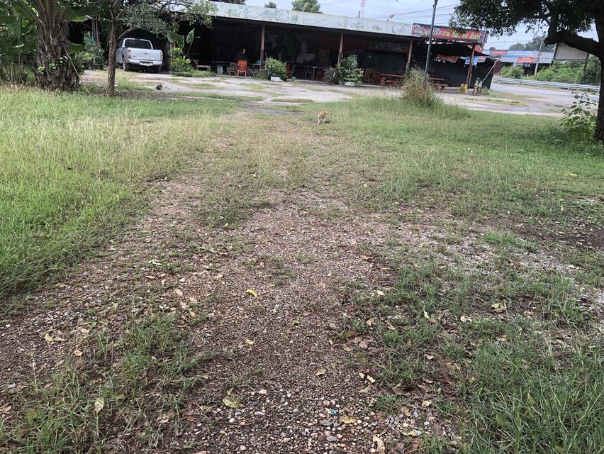 ที่ดินติดถนนมิตรภาพ 12 ไร่ 56 ตรว. ติดถนน 100 เมตร ที่ดินถมแล้ว6ไร่ ปรับที่ดิน มีถนนในที่ พร้อมสร้างบ้าน มีบ้าน ร้านอาหาร