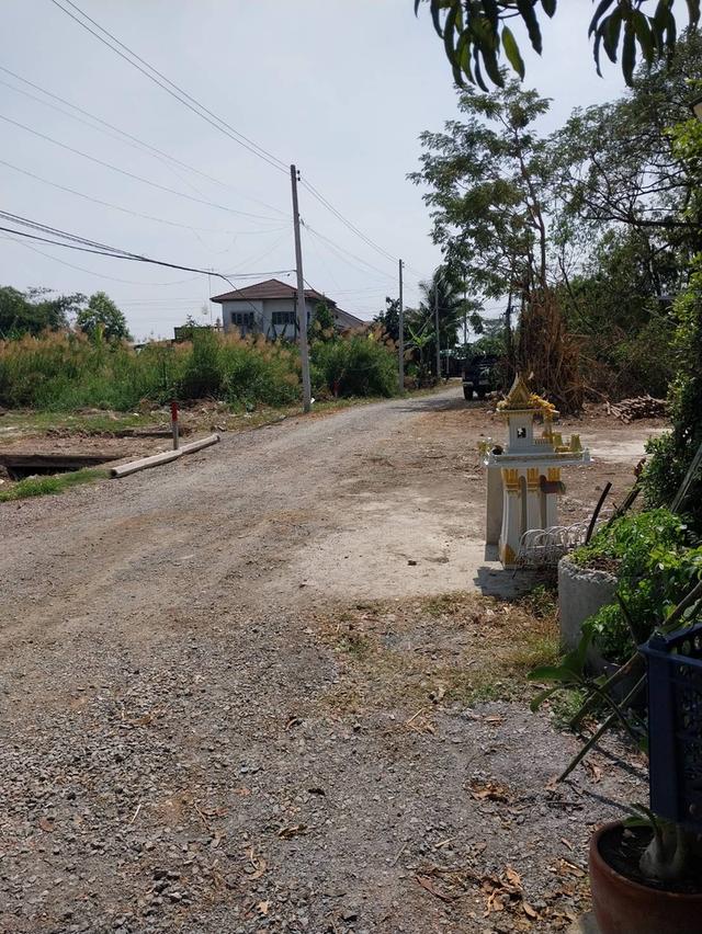 ขายที่ดิน 50/100 ตรว.ใกล้แหล่งชุมชนโรงเรียนใกล้ทางด่วนอุดรรัถยา ม.ธรรมศาสตร์ ศูนย์รังสิต  ม.ปทุมฯตลาดทรัพย์ปทุมทางเข้าซุ้มวัดบัวหลวง โทร081-2056883 3 10