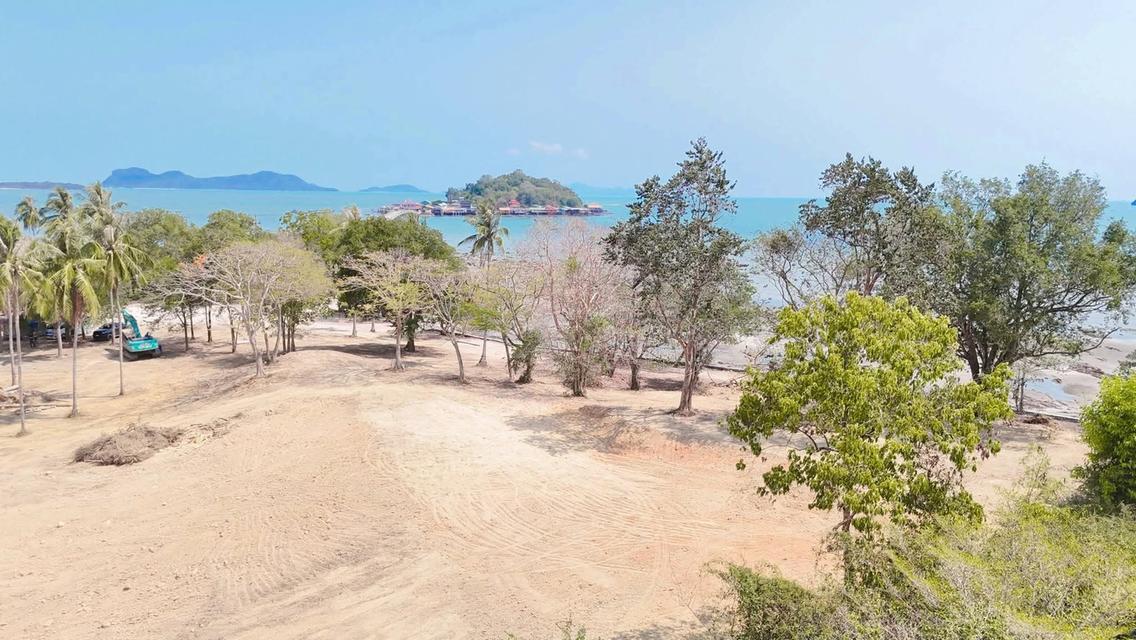 ที่ดินติดทะเลสุราษฎร์ธานี 4
