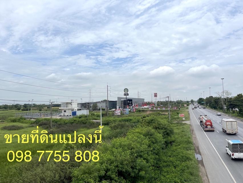 ขายที่ดินติดถนนสายเอเชีย ขาเข้ากรุงเทพ บางปะอิน อยุธยา 5