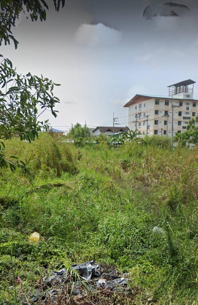 ที่ดินเปล่า เนื้อที่ 203 ตารางวา 5