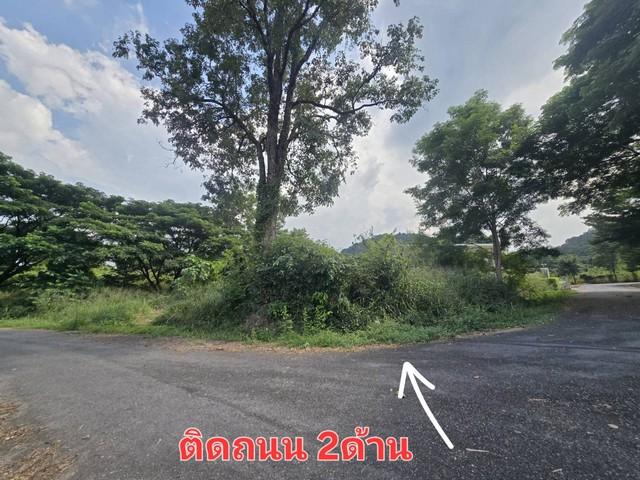 ที่ดิน ภูภัทรา เขาใหญ่ สะดวกต่อการเดินทาง แปลงมุม, ทำเลดี, ติดถนน 2 ด้าน 5