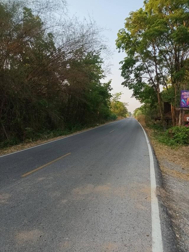 ขายที่ดินรวม 2 แปลง 26 ไร่ จ.มหาสารคาม 4