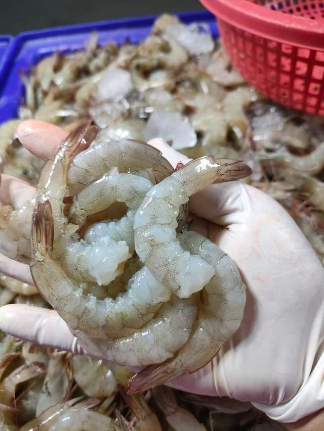 กุ้งขาวแกะเปลือกไว้หาง  1