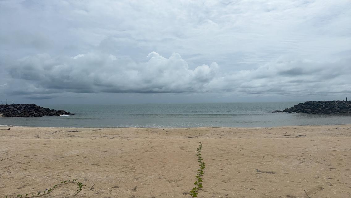 ที่ดินติดชายหาดสวยงาม อำเภอสิชล จังหวัดนครศรีธรรมราช ขนาด 5 ไร่ 266 ตารางวา ราคา ไร่ละ 7 ล้านบาท  ที่ดินผืนงามติดชายหาด  8